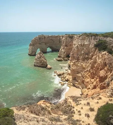 Concha By Indigo * 贝纳吉